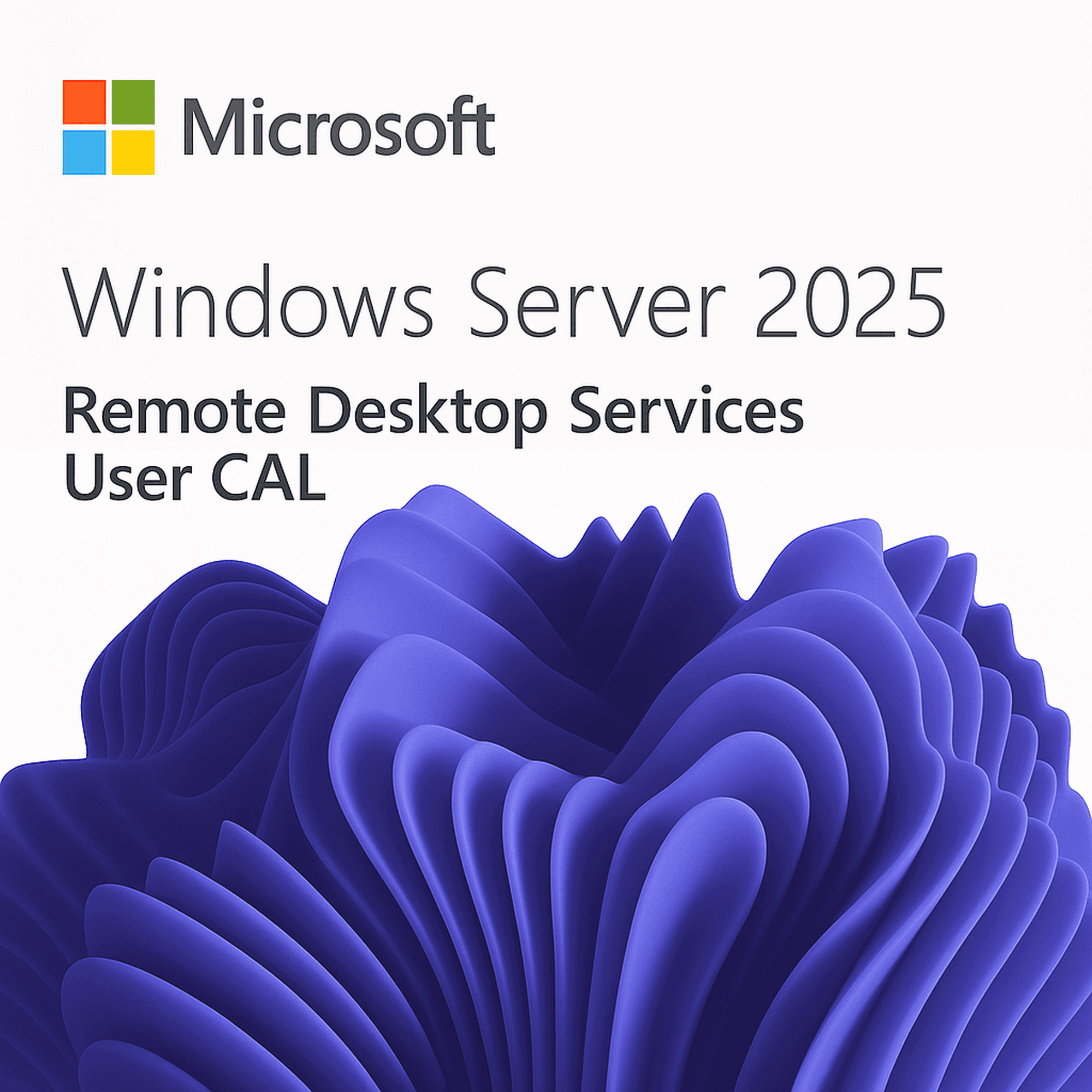 Microsoft Windows Server 2025 RDS Utilisateur/User CAL | 5 Utilisateurs | Version définitive | Téléchargement